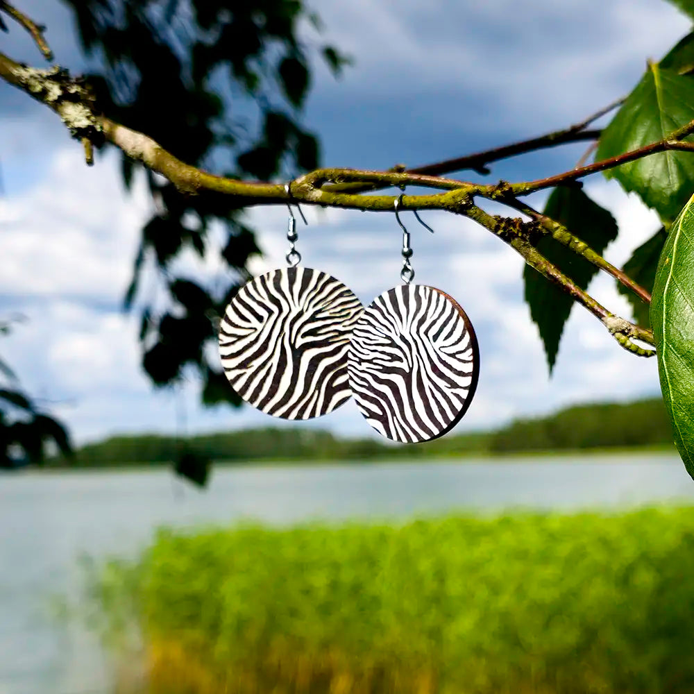 Zebra Vibe